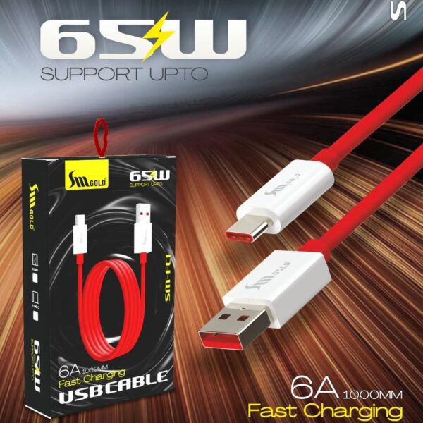 SM Gold SM-FCI 65W Fast Charging Type C Cable