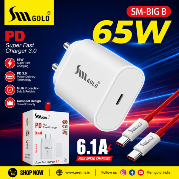 SM Gold SM-BIG B 65W Charger